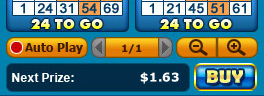bingo liner 75 ball bingo game options