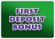 bingo liner promo first deposit bonus